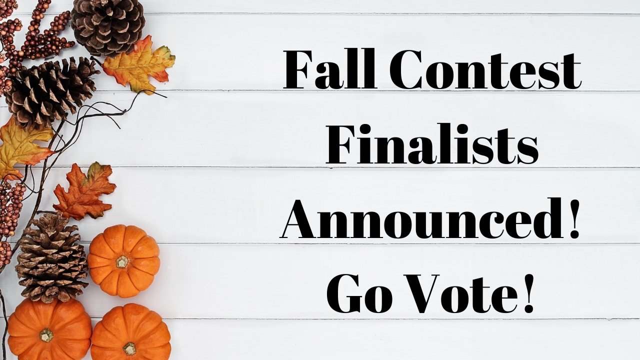 DIY Project Fall Contest Finalists