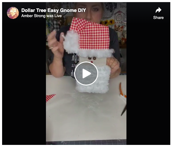 Screen grab Dollar Tree Easy Gnomes DIY