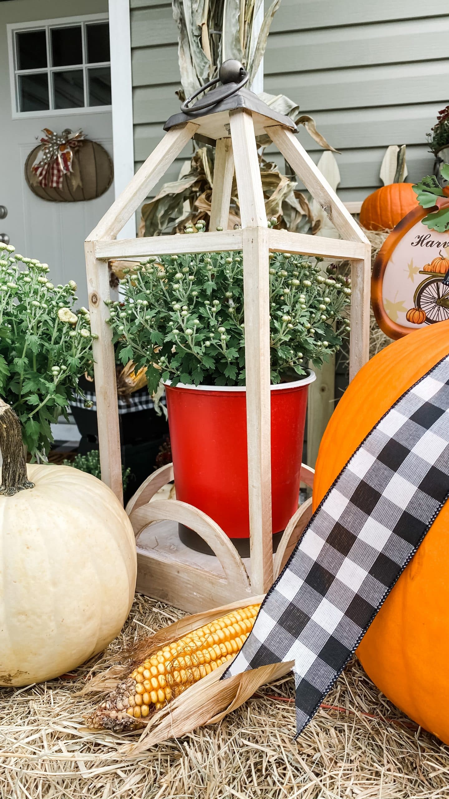 mums displayed in vibrant red planeter and rustic wooden lantern with orange and white pumpkins