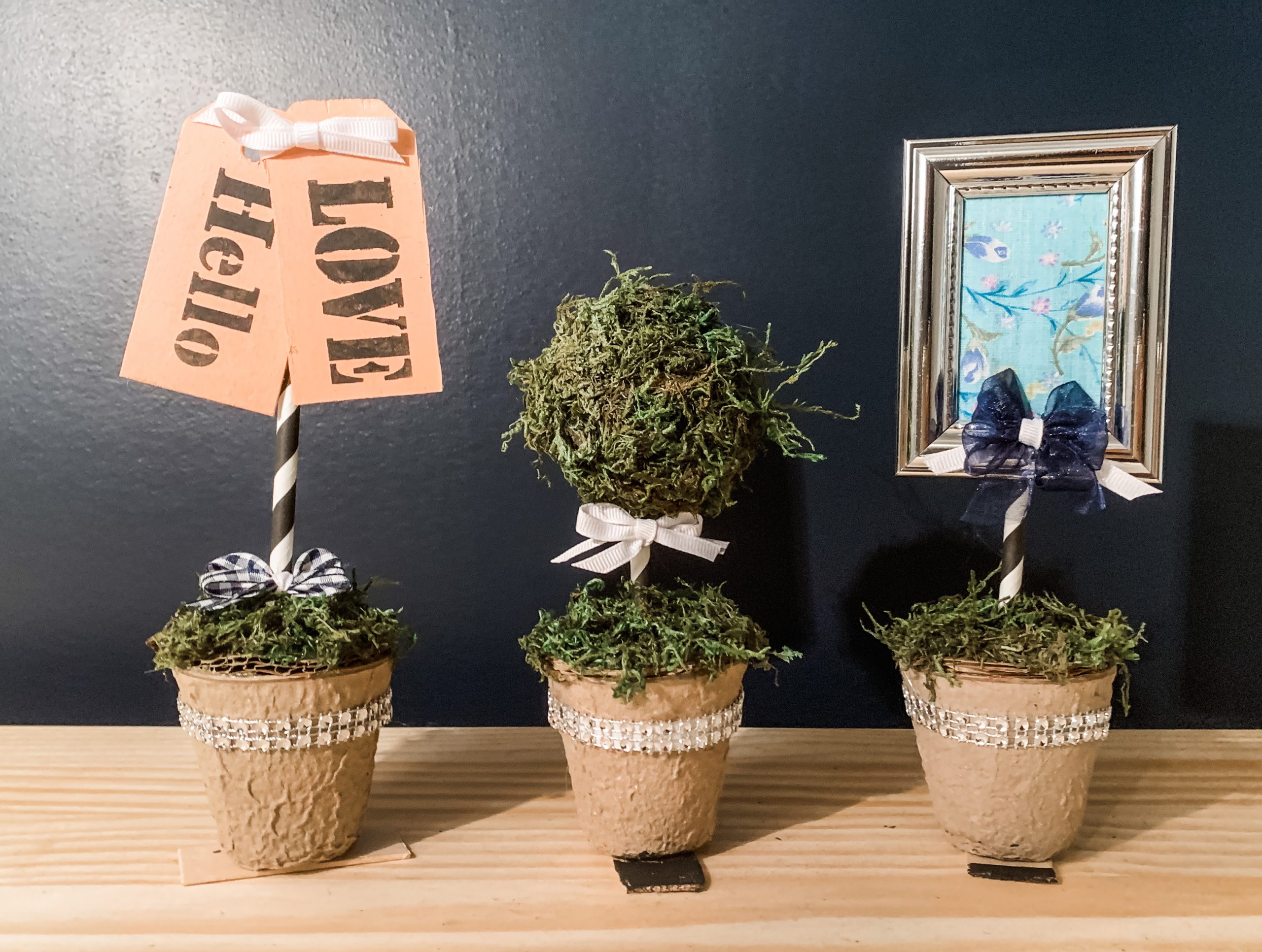 Dollar Tree Mini Planter DIY Everyday Decor