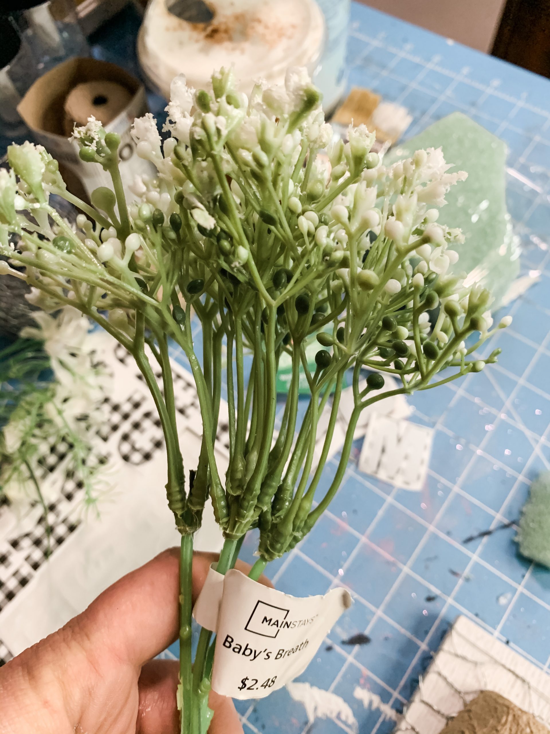 DIY Spring Decor with Seed Starters