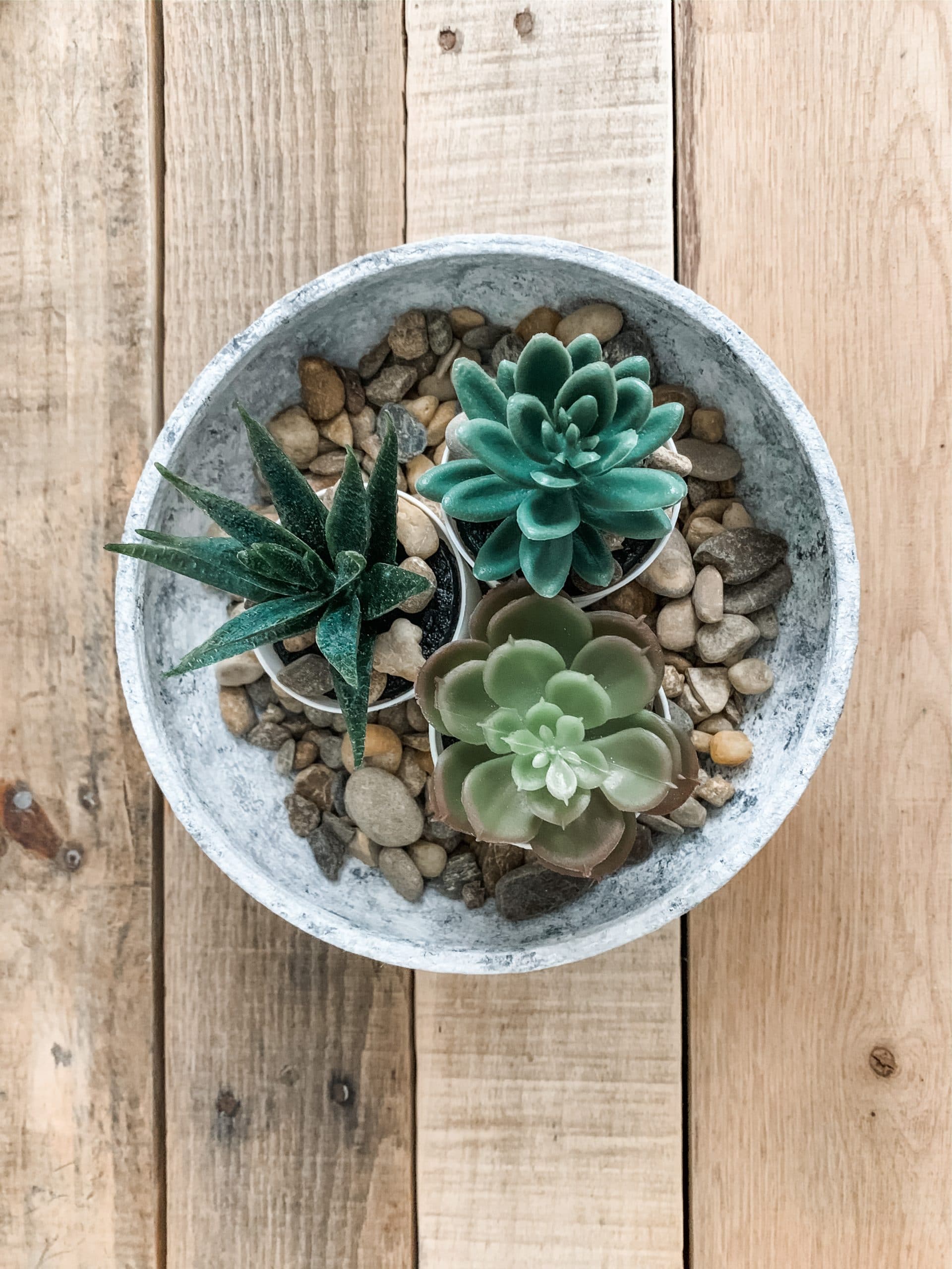 DIY Faux Concrete Planter