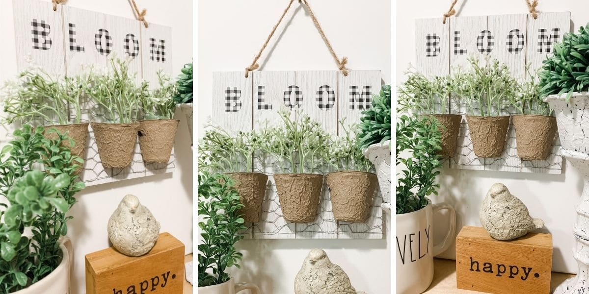 Easy DIY Spring Decor with Seed Starters