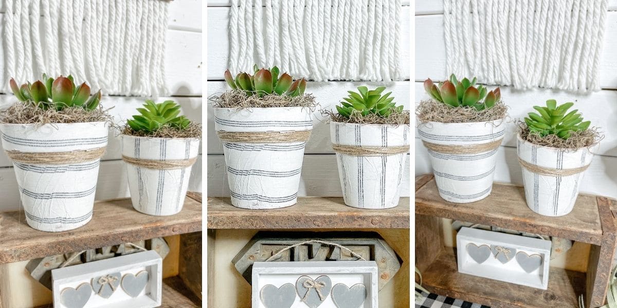 Dollar Tree DIY Farmhouse Terracotta Pots