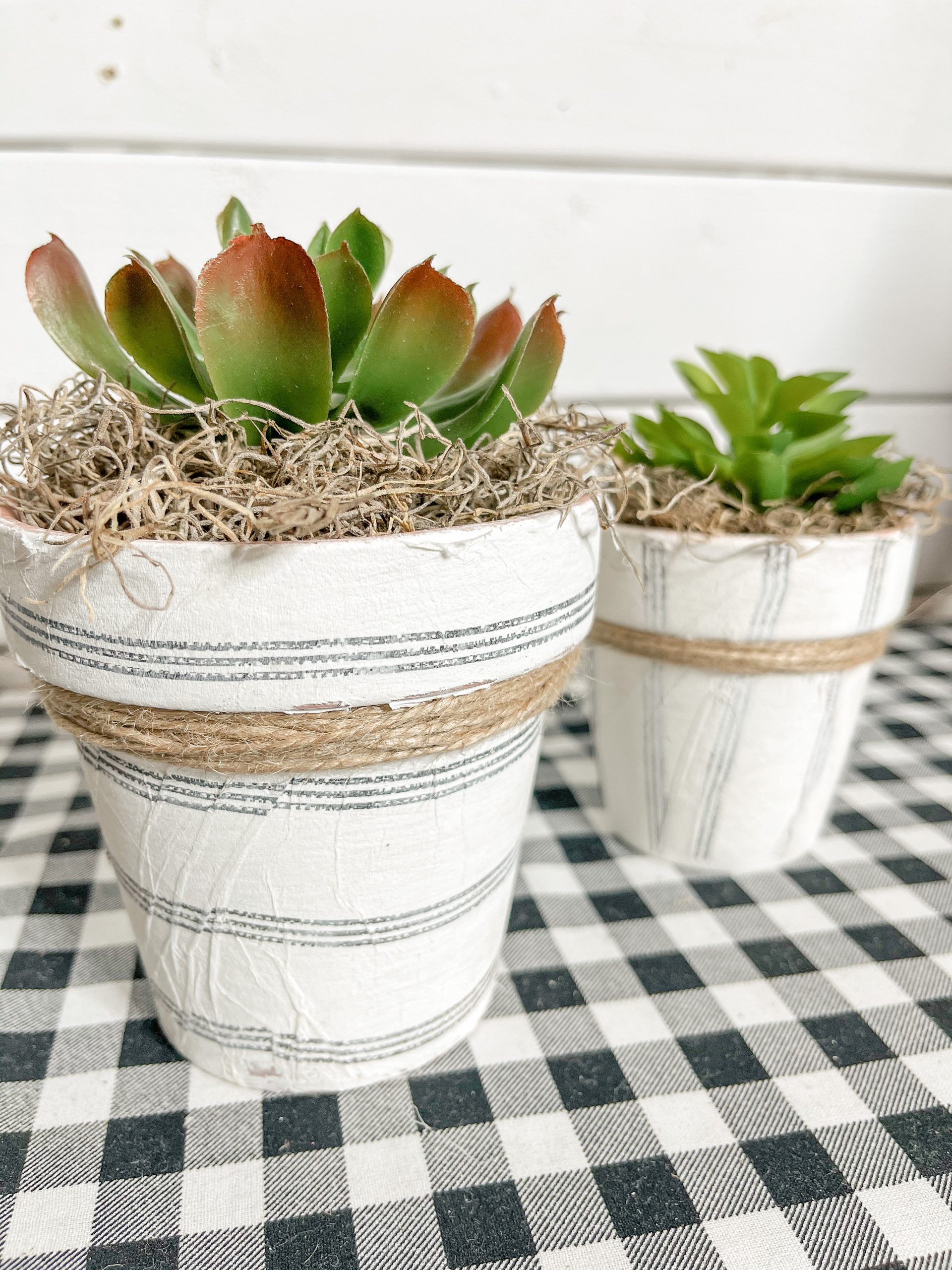 Dollar Tree DIY Farmhouse Terracotta Pots