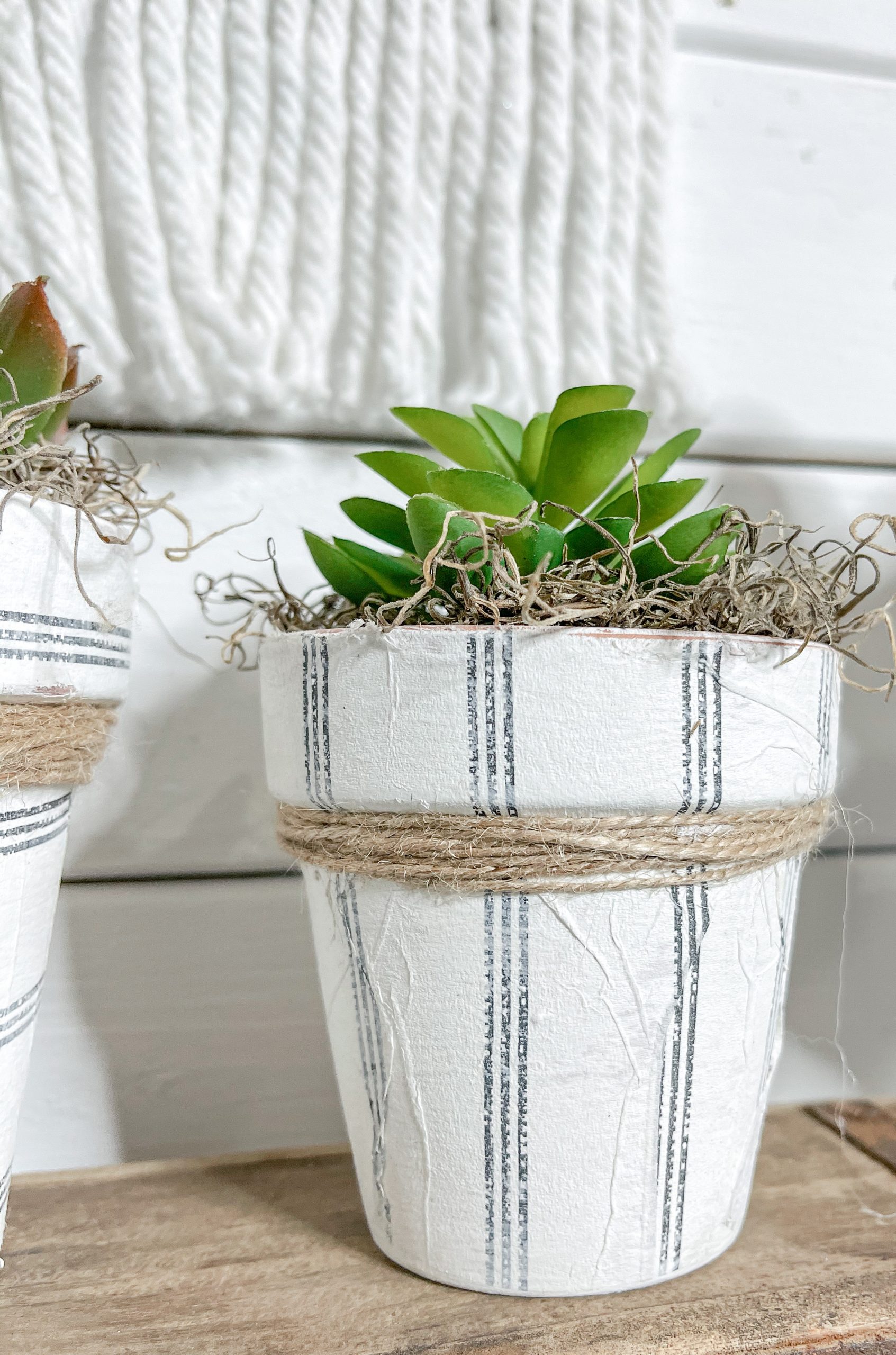 Dollar Tree DIY Farmhouse Terracotta Pots