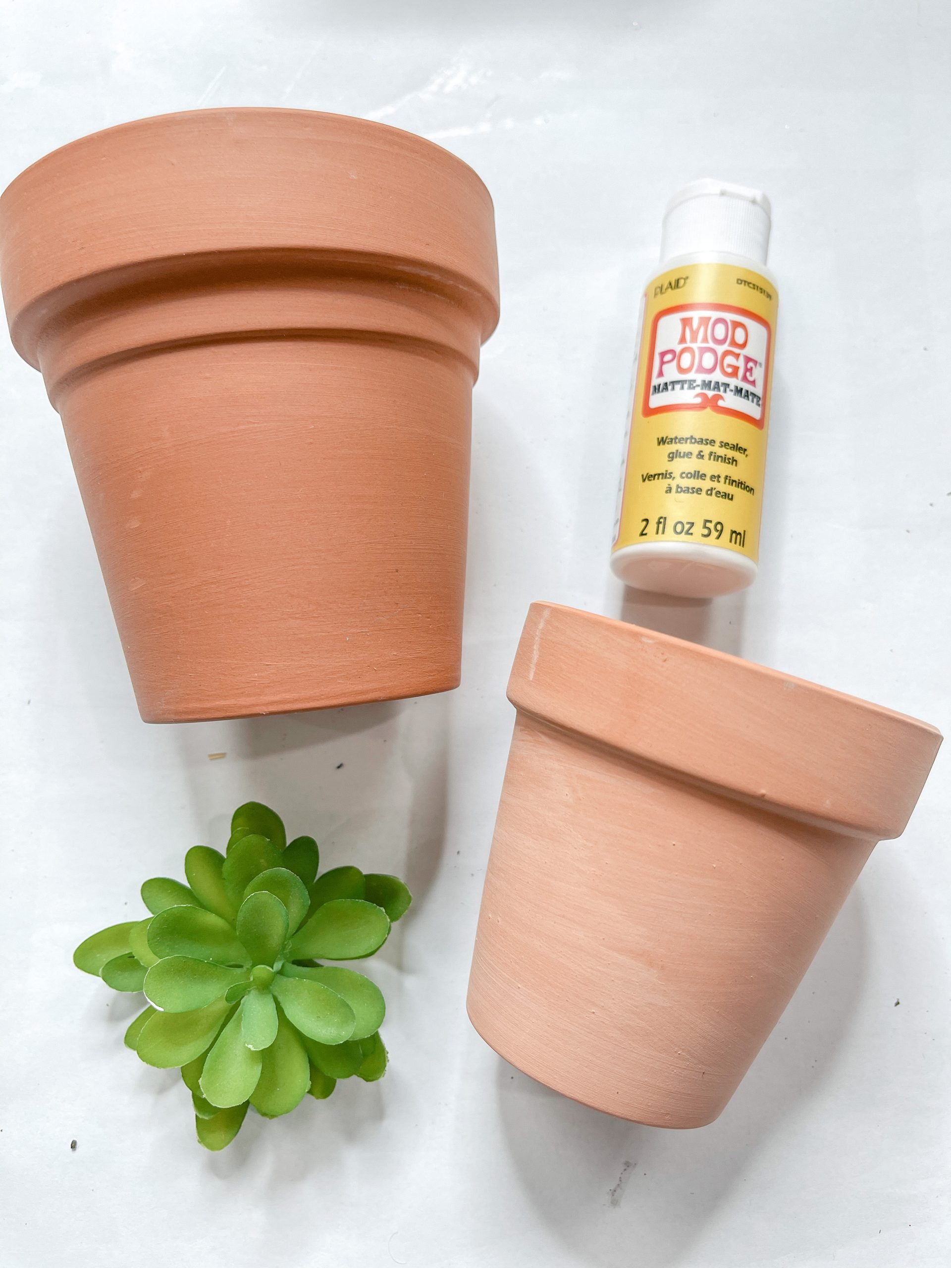 Dollar Tree DIY Farmhouse Terracotta Pots