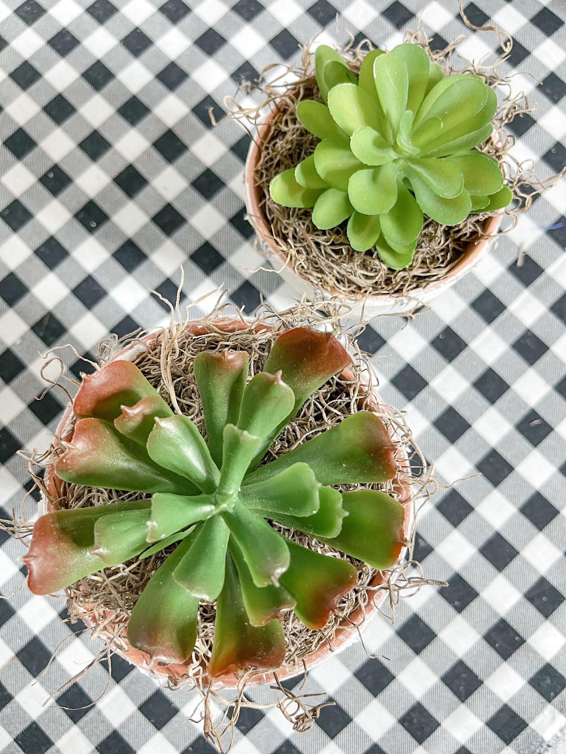 Dollar Tree DIY Farmhouse Terracotta Pots