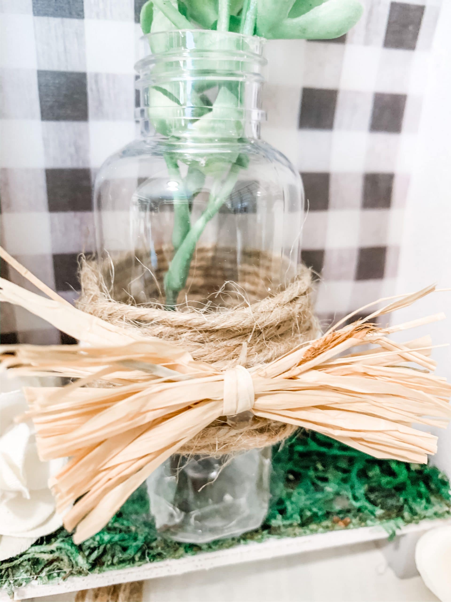 Simple Buffalo Check Farmhouse Plant Jar