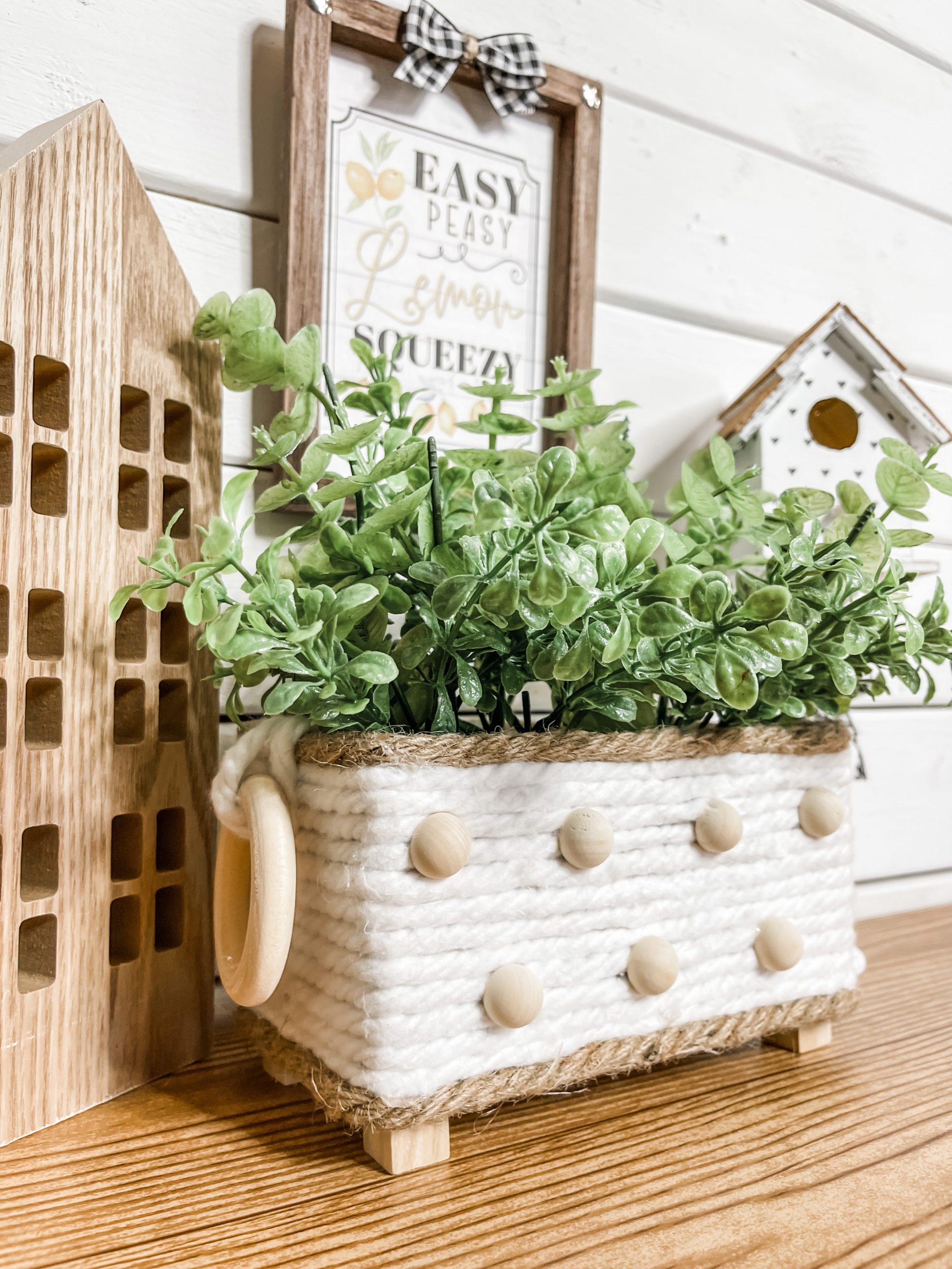 DIY Mop String Planter