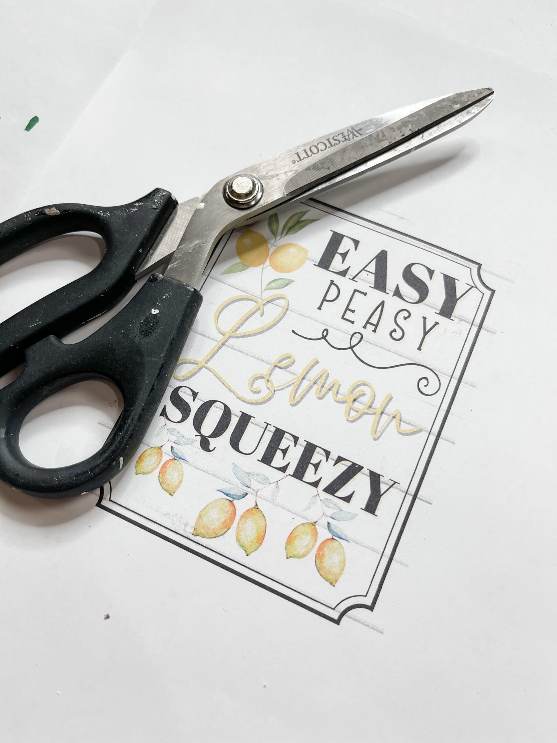 easy peasy lemon squeezy printable