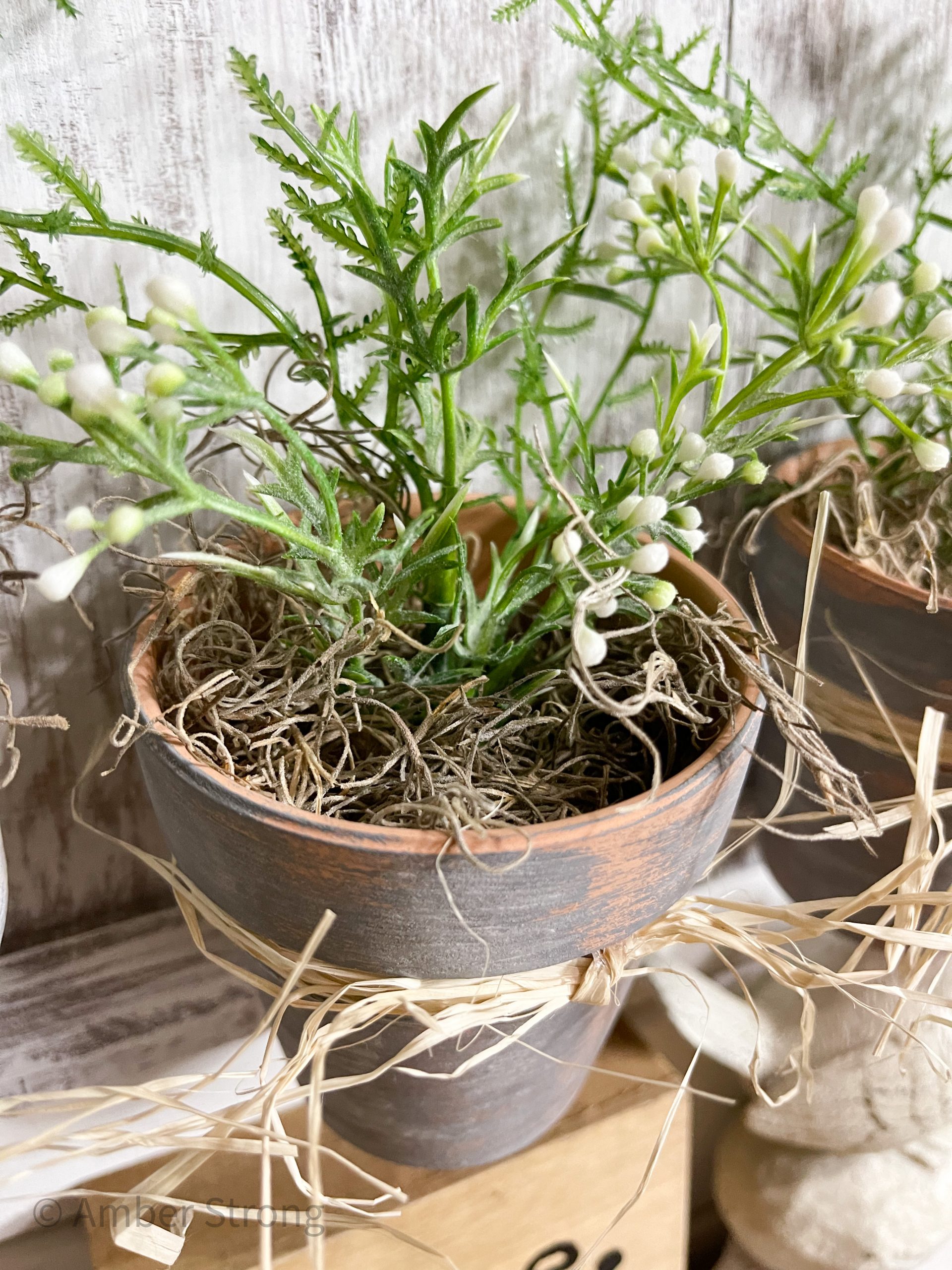 DIY Herb Planter Decor