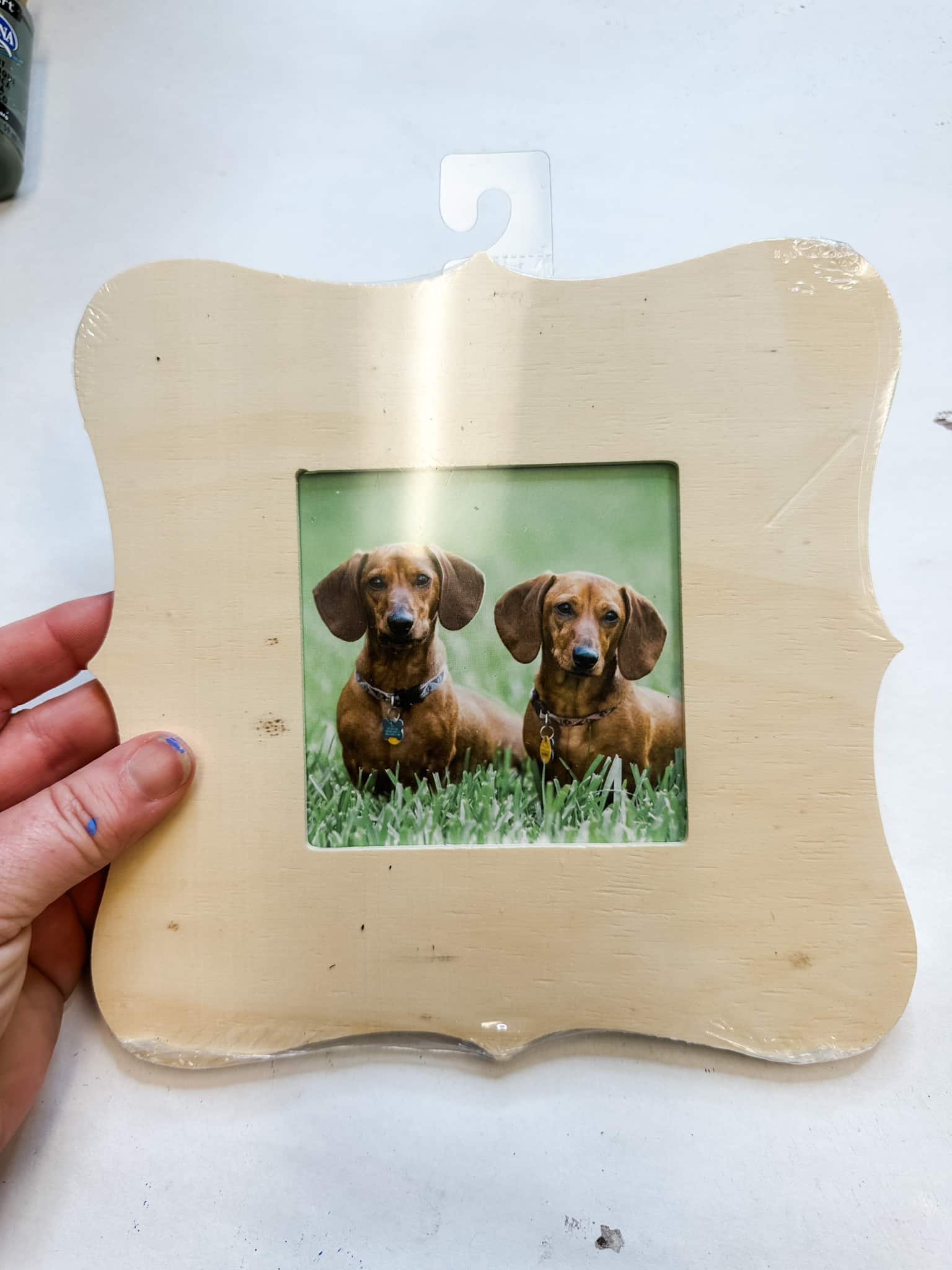 Decorative Framed Pumpkin