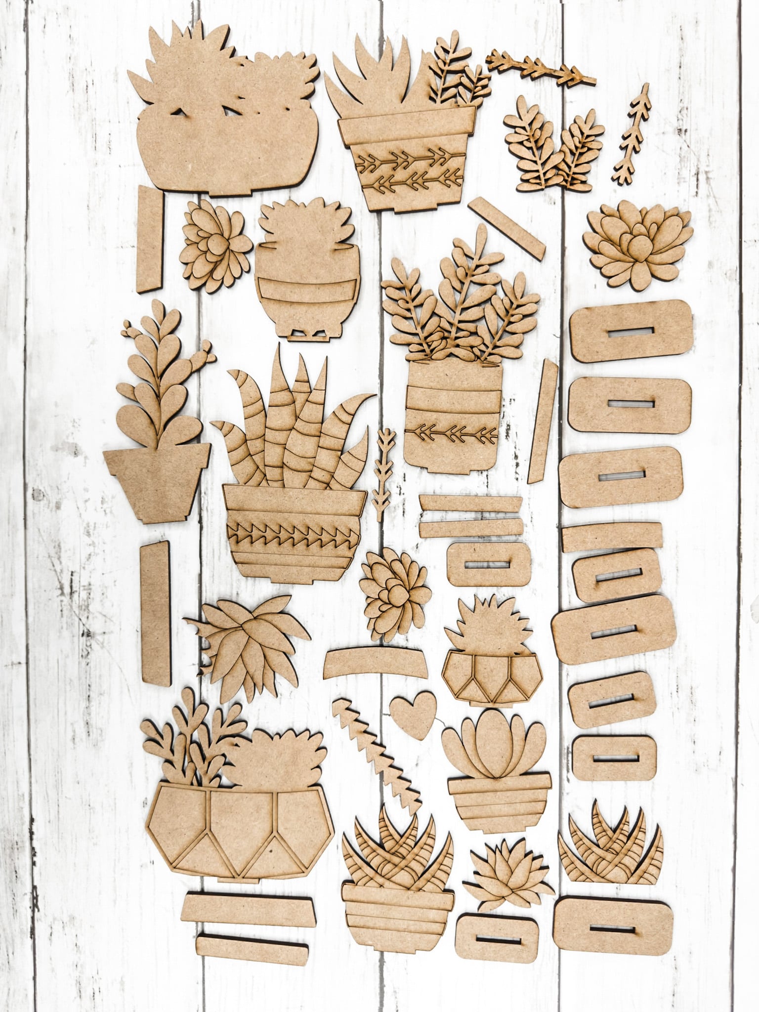 Set of Decorative Wooden Succulents