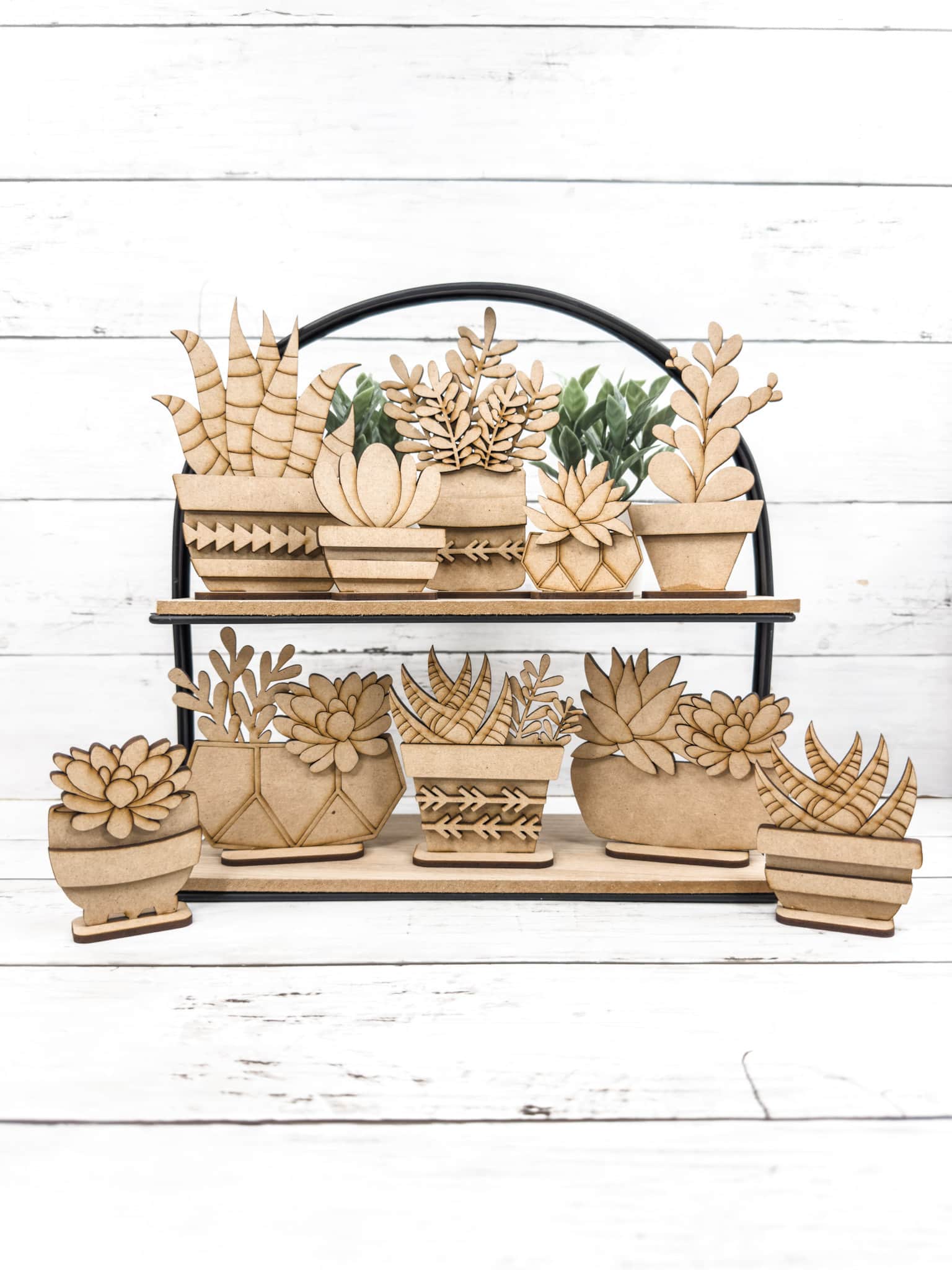 Set of Decorative Wooden Succulents